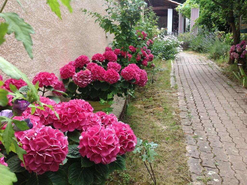 Bed & Breakfast Le Beausejour Carcassonne Exterior foto
